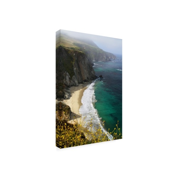 Winthrope Hiers 'Big Sur Coast Mountain' Canvas Art,16x24